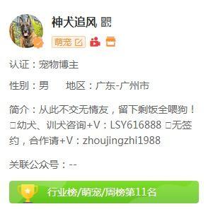 10万网红延迟退房视频,揭秘酒店行业新现象背后的故事