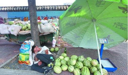 漯河最新吃瓜视频,揭秘当地热门事件背后的真相