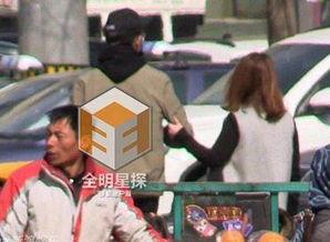 柴鸡蛋明星,闪耀舞台的璀璨之星