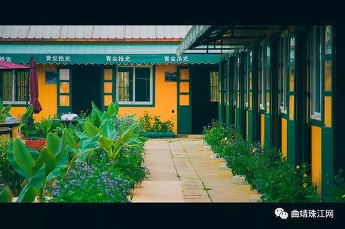 曲靖网红何红莲,从田间地头到网络红人的蜕变之路