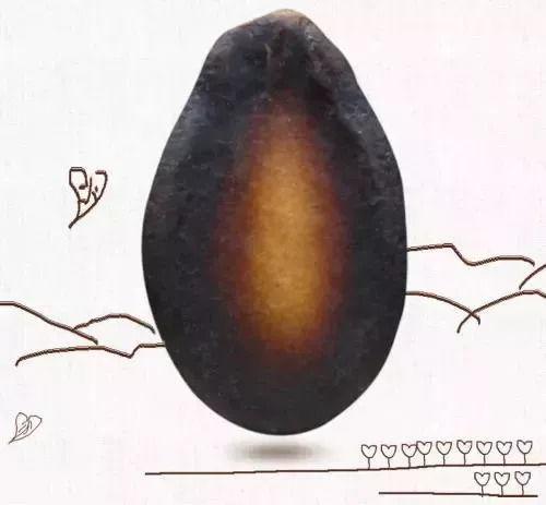 吃瓜不吐瓜子,揭秘娱乐圈的甜蜜与苦涩