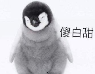 理性吃瓜哟,揭秘娱乐圈幕后真相