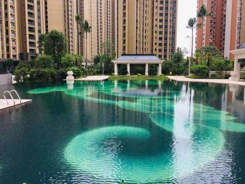 麻城新闻爆料热线最新,聚焦民生热点，传递社会声音