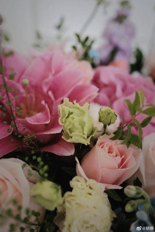 明星 超大束鲜花,超大束鲜花见证荣耀时刻