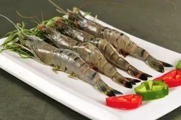 大虾养殖爆料方法视频大全,视频大全全方位解析养殖技巧