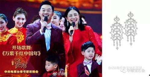 2018春晚明星有谁,璀璨星光闪耀舞台